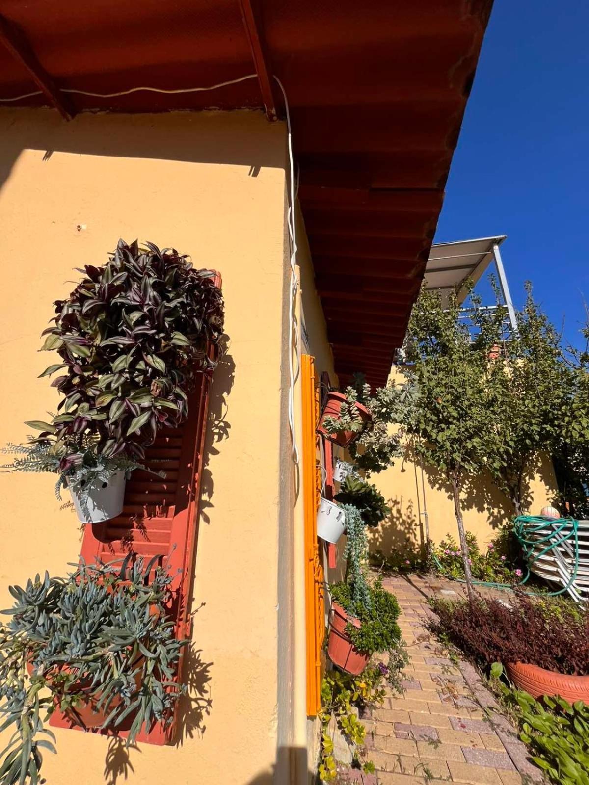 Evgenios Studios Kavos Exterior photo